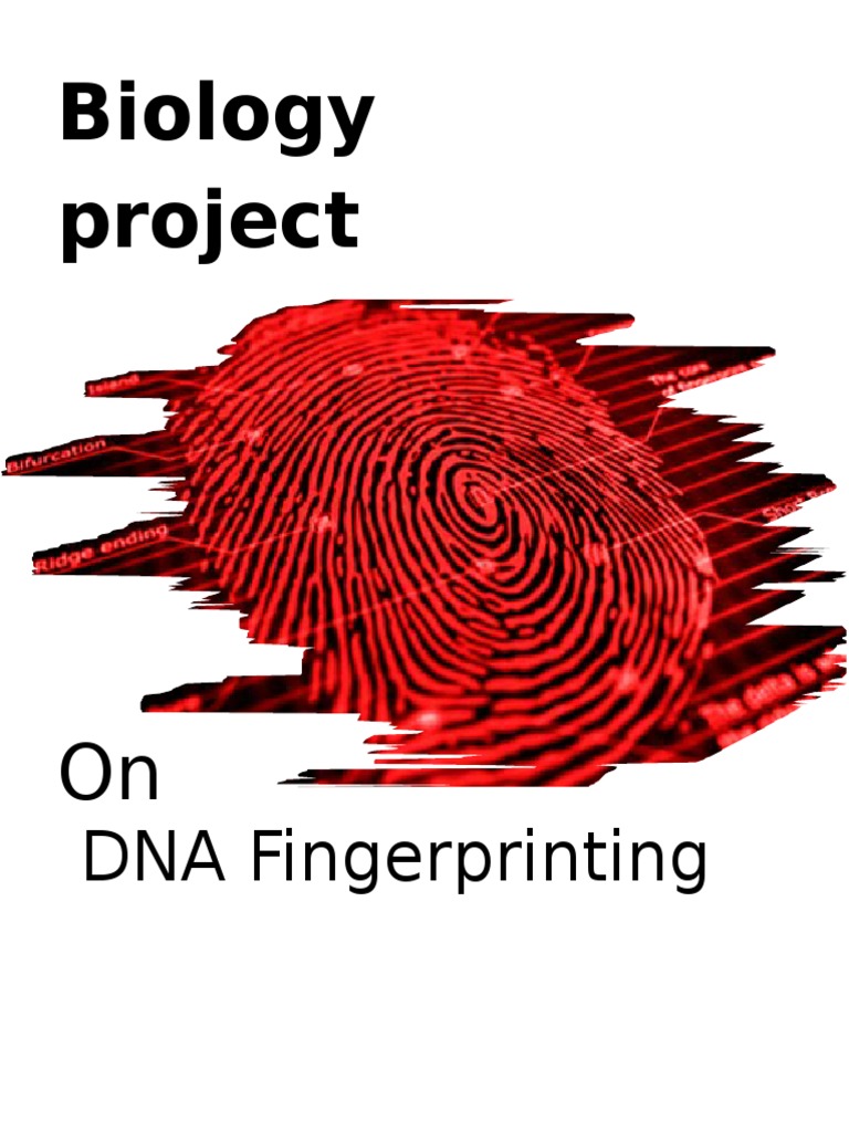 Class 12 Project on DNA Fingerprinting | PDF | Dna Profiling ...