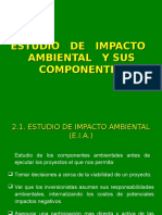 Capitulo II Estudio de Impacto Ambiental