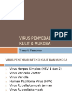 VIRUS PENYEBAB INFEKSI KULIT DAN MUKOSA_09 Mei 2014.pptx