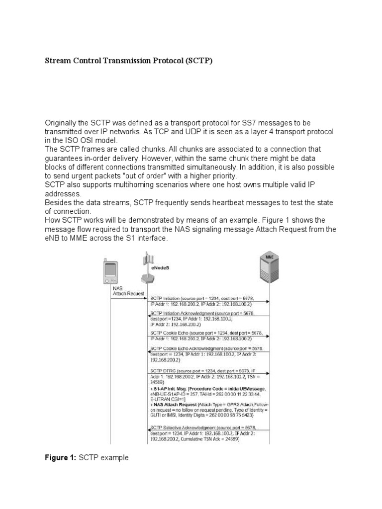 SCTP Overview and Example Use Case | PDF | Transmission Control ...