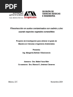 Fitoextraccion en suelos contaminados.pdf