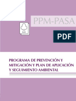 Mineria Instructivo General PPMPASA PDF