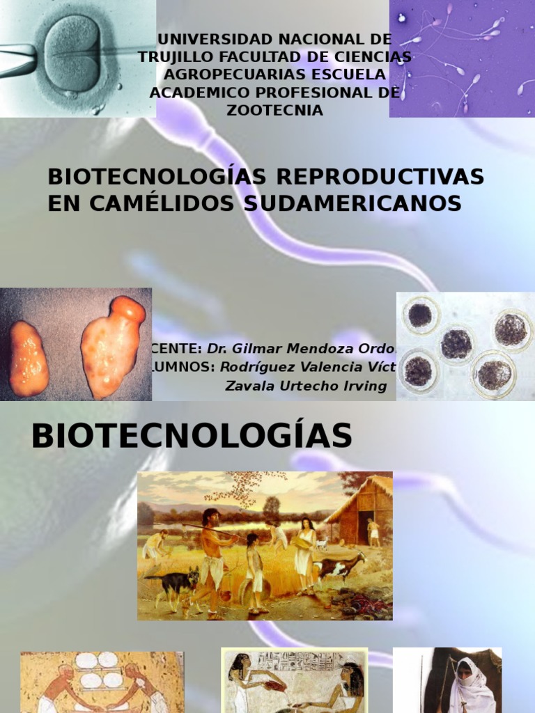 Biotecnologias Reproductivas Clonación Semen