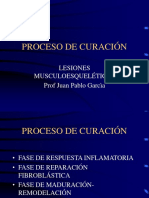 3 Proceso de Cicatrización