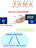 Qeliza Bakterore-1