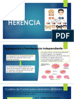 Herencia 10.2