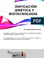 Modificación Genética y Biotecnología