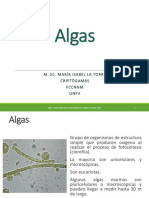 Clase 1 - Algas