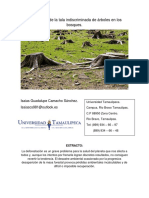 El Problema de La Tala Indiscriminada de Arboles en Los Bosques