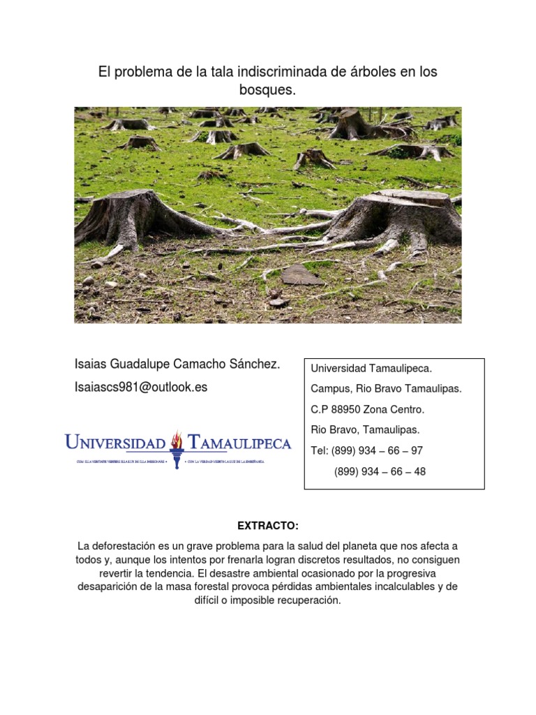 El Problema de La Tala Indiscriminada de Arboles en Los Bosques | PDF ...