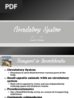 Circulatory System Outline