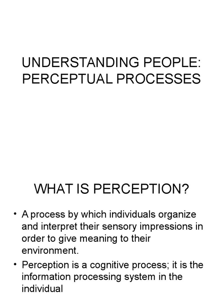 Understanding People: Perceptual Processes | PDF | Performance ...