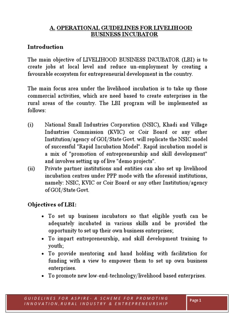 ASPIRE Guidelines Final 03jun15 PDF Business Incubator Startup