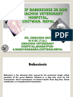 A Case of Babesiosis in Dog at Jibachha Veterinary Hospital, Bharatpur-4, Chitwan, Nepal