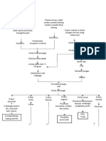 Pathway Stroke