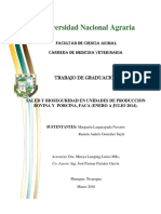 Salud y Bioseg en Unidades de Producc-Nicaragua