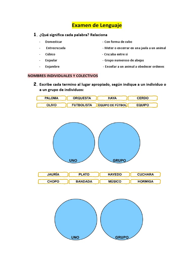 Examen de Lengua 3º Primaria Santillana | PDF