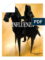 Influenza VPS422 2013 PDF
