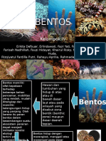 Benthos Presentation