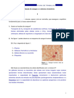 Ficha1PROF.pdf