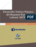 Libro Regimen Especial Laboral Mype Vera Paredes PDF