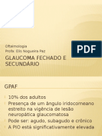 Glaucoma Fechado e Secundário