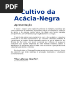 Acácia Negra