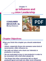 Group Influence and Opinion Leadership in Consumer Behavior