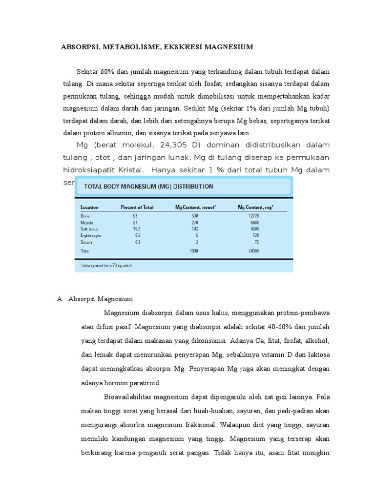 Metabolisme dan Absorpsi Magnesium | PDF