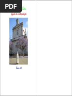 A Cartuxa Da Laveira PDF