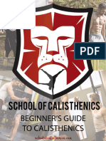 A Beginners Guide to Calisthenics 2