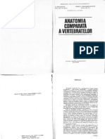 83504260-1-Manual-Anatomie-Comparata.pdf