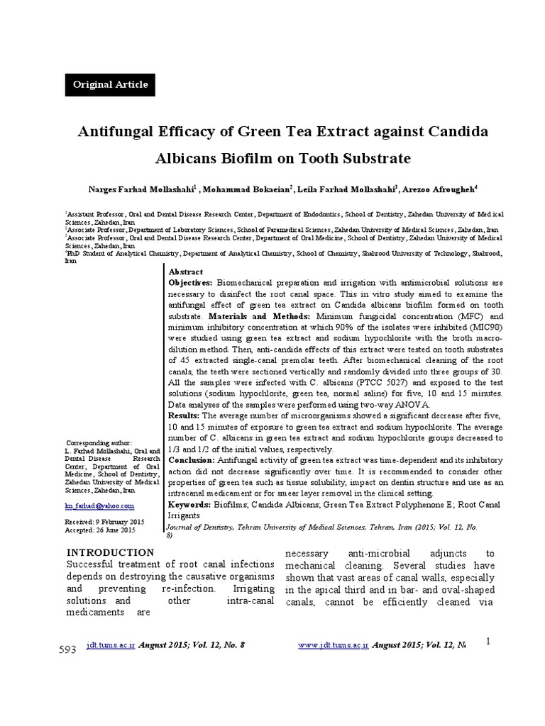 Antifungal Efficacy of Green Tea Extract Against Candida Albicans