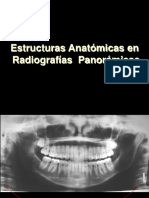 EstructurasPanoramicas PDF