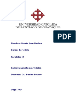 Malformaciones Congénitas Del Pie y Pie Plano