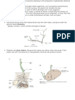 Reproduction in Plants and Tropisms