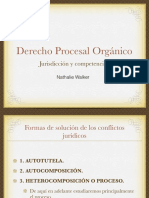 Derecho Procesal Orgánico (1º Semestre)