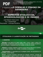 curso doenças da bananeira CFO 2016 IDARON - EDITADO.pptx