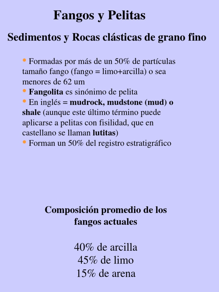 Pelitas | PDF | Roca clástica | Sedimentología