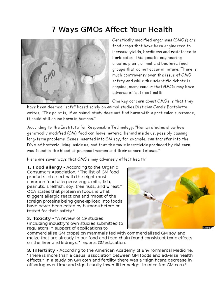 GMOs: 7 Health Risks Explained | PDF | Genetically Modified Organism ...