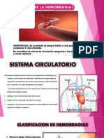 Qué es la hemorragia? Guía completa