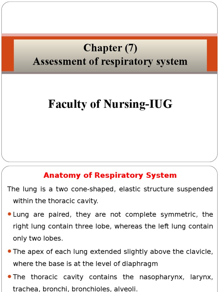 Health Assessment Chapter 7 Assessment Of Respiratory System Respiratory Tract Lung
