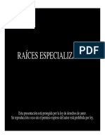 013_raices_especializadas