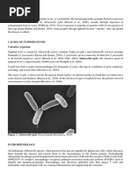 Typhoid Fever