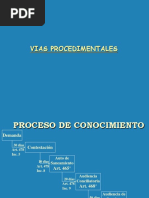 22-11-12-vias-procedimentales (1)