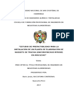 CARATULA, INDICE, INTRODUCCION Y RESUMEN.docx