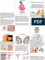 Triptico Métodos Anticonceptivos