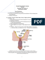 Female Reproductive System Xvi