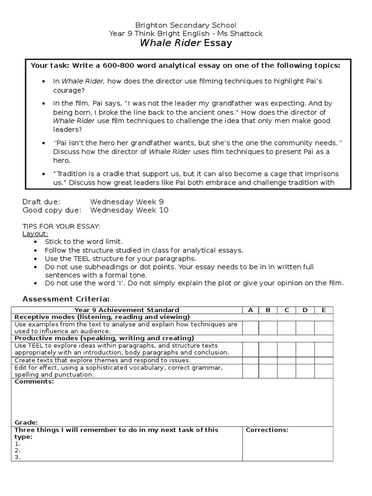 the whale rider essay