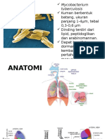 Etiologi Anatomi Pf